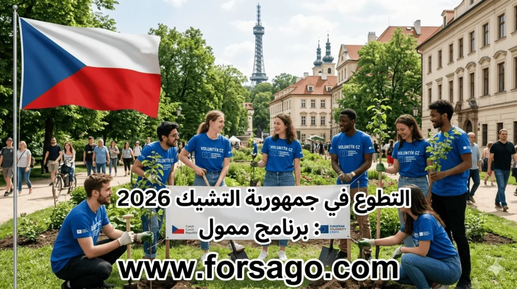 التطوع في التشيك برنامج شامل 2026